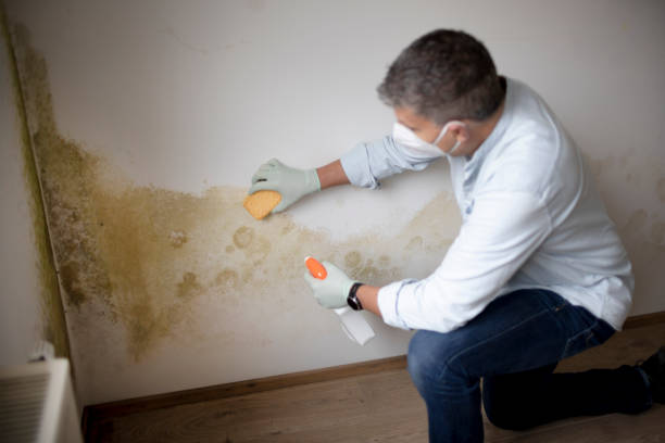 Mold Remediation for Rental Properties